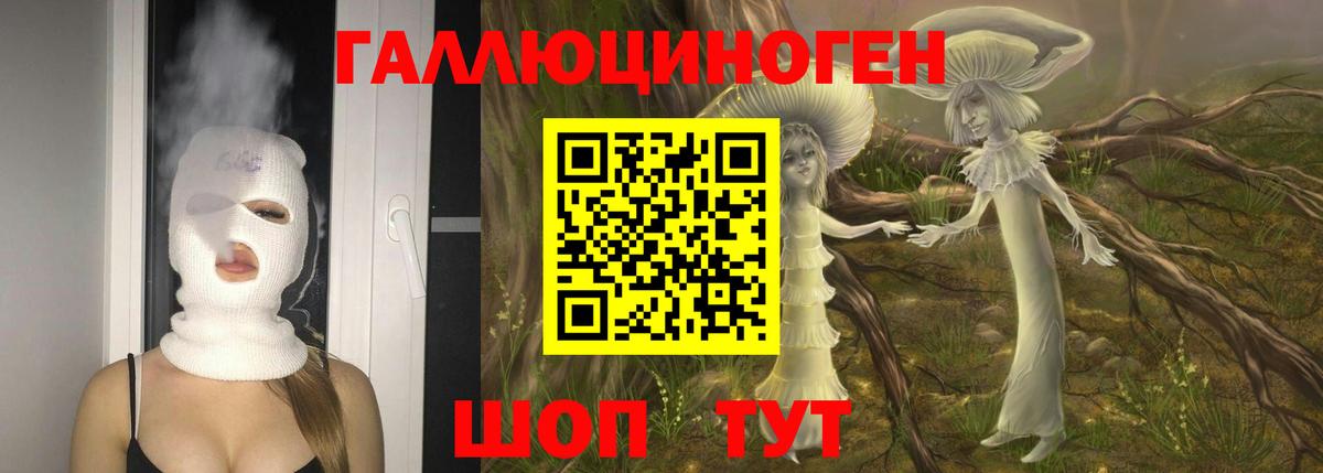 Псилоцибиновые грибы Psilocybe  Вход с VPN  Норильск 